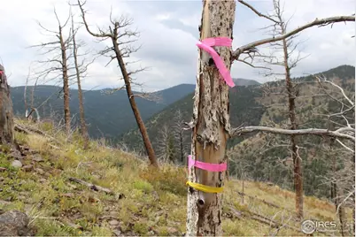 0 Gold Trl, Boulder, CO 80302 - Photo 7