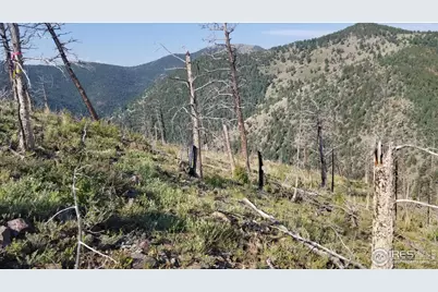 0 Gold Trl, Boulder, CO 80302 - Photo 3