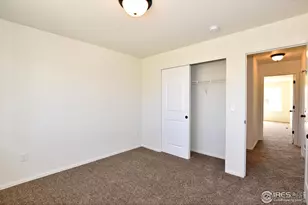 2429 Dandelion Ln, Johnstown, CO 80534 - Photo 33