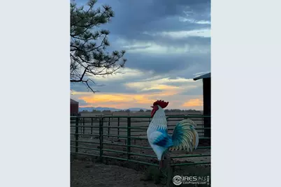 23035 County Road 22, Hudson, CO 80642 - Photo 23