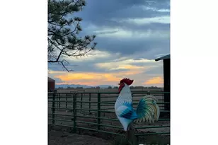 23035 Co Rd 22, Hudson, CO 80642 - Photo 23