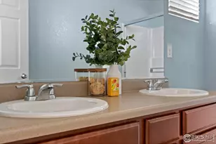 939 Keneally Ct, Windsor, CO 80550 - Photo 33