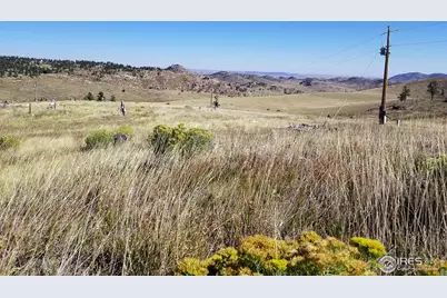 59 Bobcat Mountain Ct, Livermore, CO 80536 - Photo 7