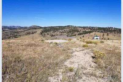 59 Bobcat Mountain Ct, Livermore, CO 80536 - Photo 9