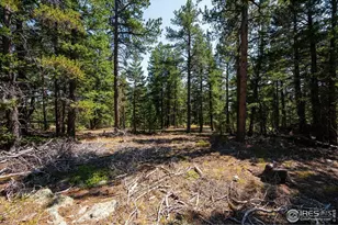 122 Elk Way, Drake, CO 80515 - Photo 33