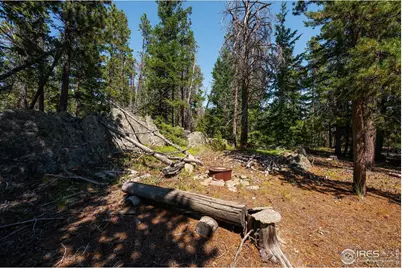 122 Elk Way, Drake, CO 80515 - Photo 31