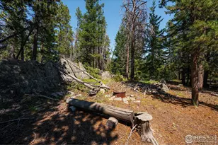 122 Elk Way, Drake, CO 80515 - Photo 31