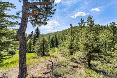 1213 Primos Rd, Boulder, CO 80302 - Photo 25