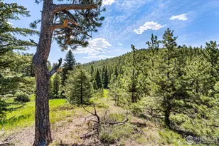 1213 Primos Rd, Boulder, CO 80302 - Photo 25