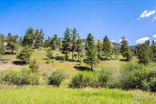 1213 Primos Rd, Boulder, CO 80302 - Photo 5