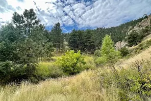 320 S Cedar Brook Rd, Boulder, CO 80304 - Photo 7