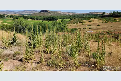 4516 Bingham Hill Rd, Fort Collins, CO 80521 - Photo 5