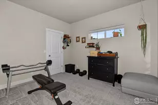 6826 School House Dr, Timnath, CO 80547 - Photo 29