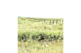 34547 Co Rd 61, Gill, CO 80624 - Photo 21