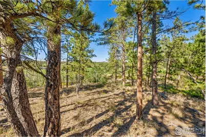 70 Northwoods Dr, Red Feather Lakes, CO 80545 - Photo 5