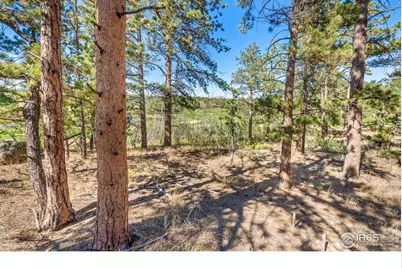 70 Northwoods Dr, Red Feather Lakes, CO 80545 - Photo 13