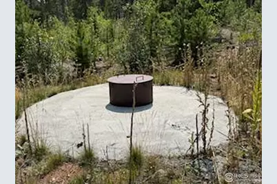 316 Panamint Way, Red Feather Lakes, CO 80545 - Photo 43