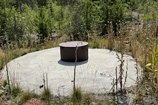 316 Panamint Way, Red Feather Lakes, CO 80545 - Photo 43