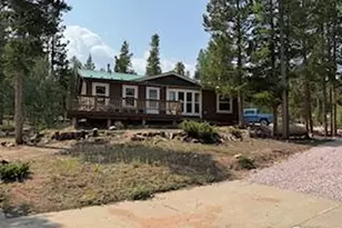 316 Panamint Way, Red Feather Lakes, CO 80545 - Photo 41