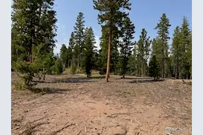 316 Panamint Way, Red Feather Lakes, CO 80545 - Photo 45