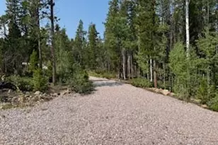 316 Panamint Way, Red Feather Lakes, CO 80545 - Photo 33