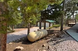 316 Panamint Way, Red Feather Lakes, CO 80545 - Photo 31