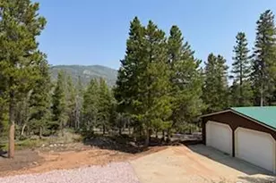 316 Panamint Way, Red Feather Lakes, CO 80545 - Photo 29