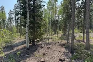 316 Panamint Way, Red Feather Lakes, CO 80545 - Photo 49