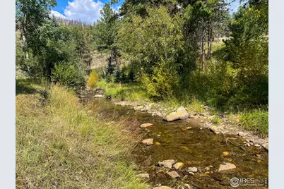 27667 Buckhorn Rd, Bellvue, CO 80512 - Photo 27
