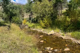 27667 Buckhorn Rd, Bellvue, CO 80512 - Photo 27