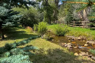 27667 Buckhorn Rd, Bellvue, CO 80512 - Photo 33