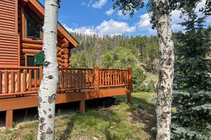 27667 Buckhorn Rd, Bellvue, CO 80512 - Photo 23