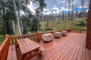 27667 Buckhorn Rd, Bellvue, CO 80512 - Photo 21