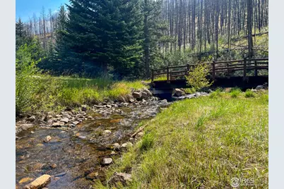 27667 Buckhorn Rd, Bellvue, CO 80512 - Photo 25