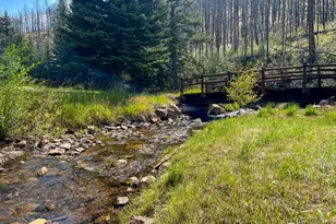 27667 Buckhorn Rd, Bellvue, CO 80512 - Photo 25