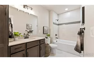 6226 Vernazza Way, Windsor, CO 80550 - Photo 19