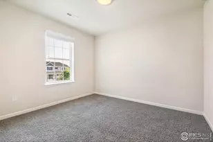 6750 Rock River Rd, Timnath, CO 80547 - Photo 31