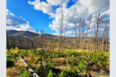 805 Meadows Dr, Drake, CO 80515 - Photo 3