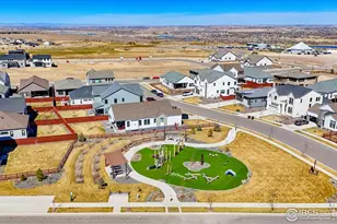 1869 Blossom Grove Dr, Windsor, CO 80550 - Photo 31