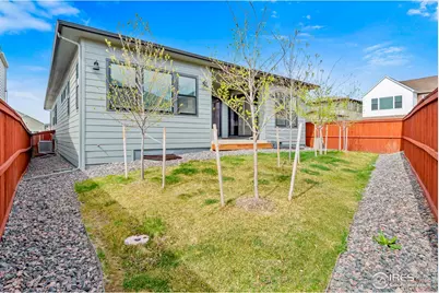 1869 Blossom Grove Dr, Windsor, CO 80550 - Photo 29
