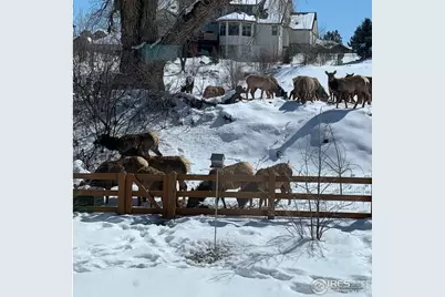 629 Deer Meadow Dr, Loveland, CO 80537 - Photo 33