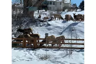 629 Deer Meadow Dr, Loveland, CO 80537 - Photo 33