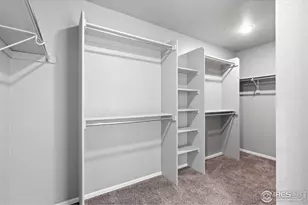 2275 Stonefish Dr, Windsor, CO 80550 - Photo 17