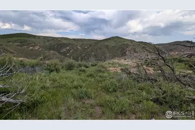 1324 Meadow Mountain Dr, Livermore, CO 80536 - Photo 11