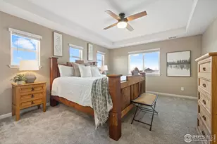 5820 Shady Oaks Ct, Windsor, CO 80528 - Photo 21