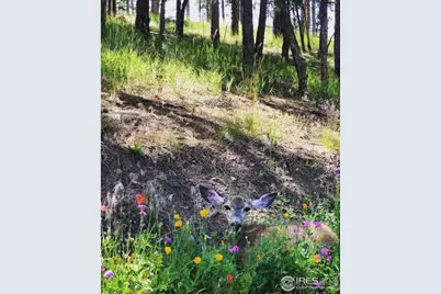 2990 Linden Dr, Boulder, CO 80304 - Photo 25