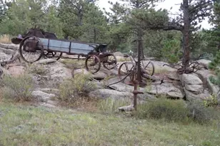 3676 Cherokee Mdws Rd, Livermore, CO 80536 - Photo 41