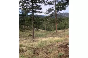 1960 Colard Ln, Lyons, CO 80540 - Photo 41