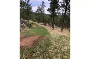 1960 Colard Ln, Lyons, CO 80540 - Photo 39