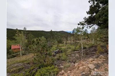 37 N Oneida Ct, Red Feather Lakes, CO 80545 - Photo 11